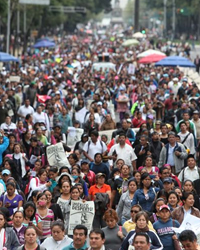 coordinadora de la educacion